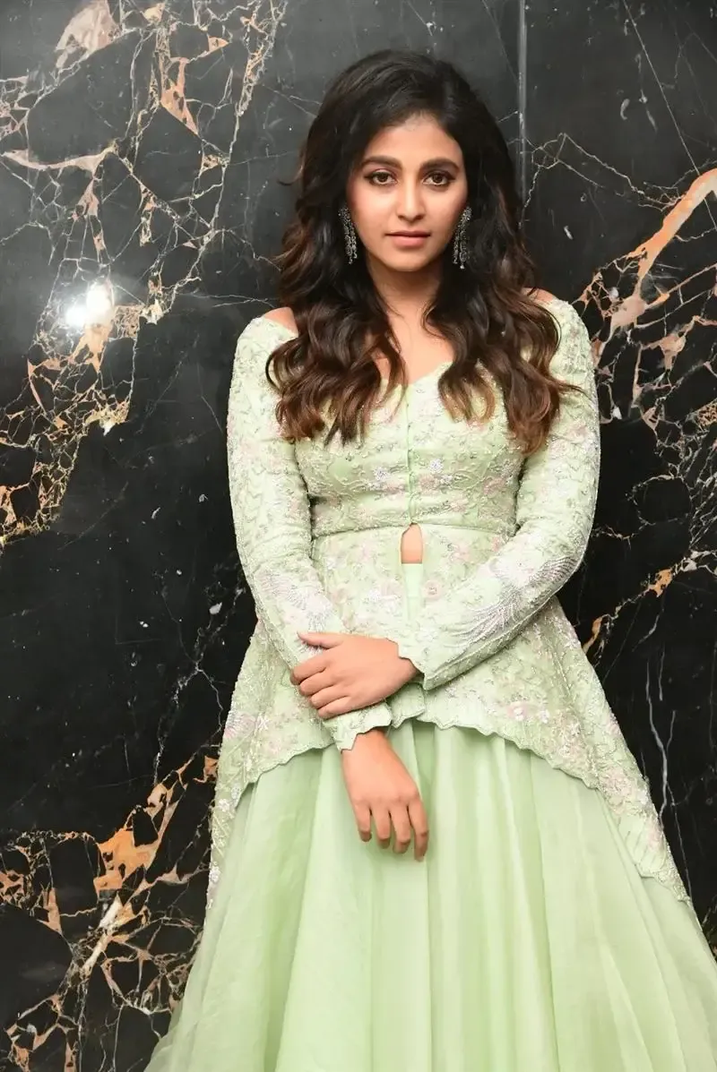 South Indian Actress Anjali Stills in Traditional Light Green Dress